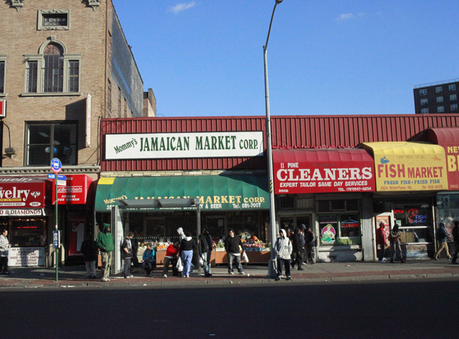 Markets and stores on White Plains Rd.