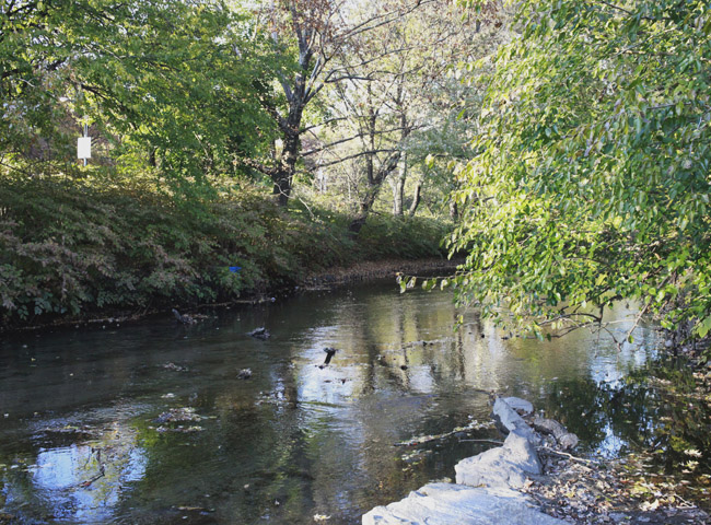 River along Shoelace Park